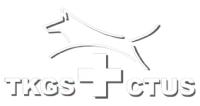 TKGS-Logo